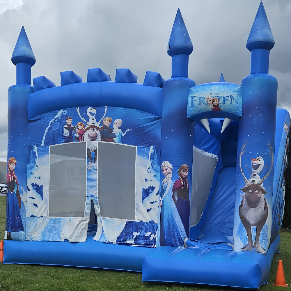 Frozen Castle with Slide